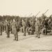 Liberation of Bergen Belsen